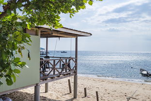 开云ky官网-绿色场馆覆盖智能环保系统，推动全球体育绿色低碳行动，绿色场馆建设